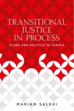 Transitional Justice In Process