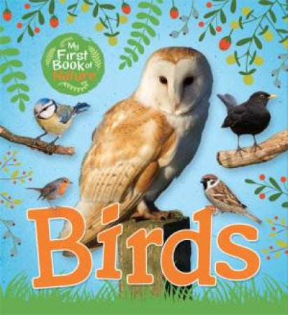 My First Book Of Nature: Birds by Victoria Munson