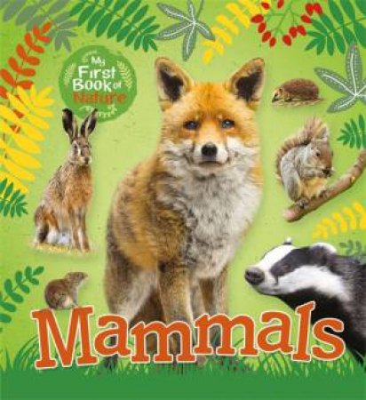 My First Book Of Nature: Mammals by Victoria Munson