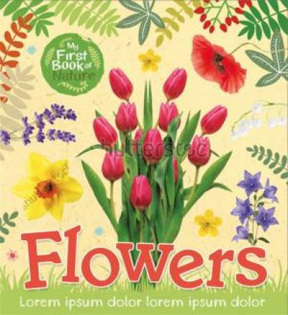 My First Book Of Nature: Flowers by Victoria Munson