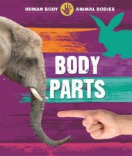 Human Body Animal Bodies Body Parts