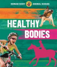 Human Body Animal Bodies Healthy Bodies