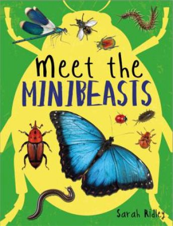 Meet The Minibeasts by Sarah Ridley