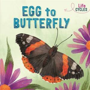 Life Cycles: Egg To Butterfly by Rachel Tonkin