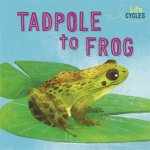 Life Cycles From Tadpole To Frog