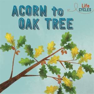 Life Cycles: Acorn To Oak Tree by Rachel Tonkin & Stephanie Fizer Coleman