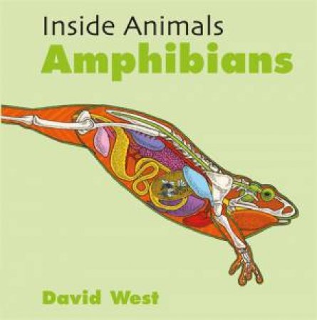 Inside Animals: Amphibians by David West