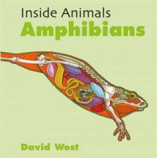 Inside Animals Amphibians