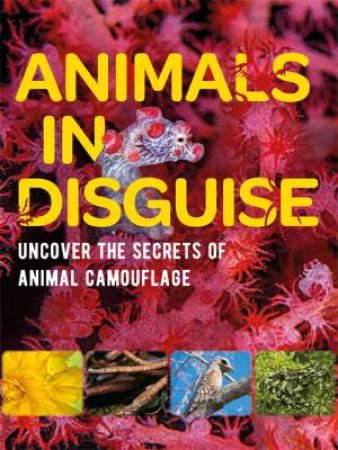 Animals In Disguise by Michael Bright