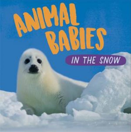 Animal Babies: In The Snow by Sarah Ridley