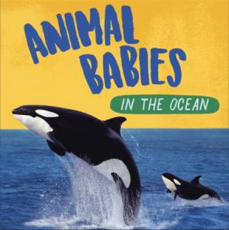 Animal Babies: In The Ocean by Sarah Ridley