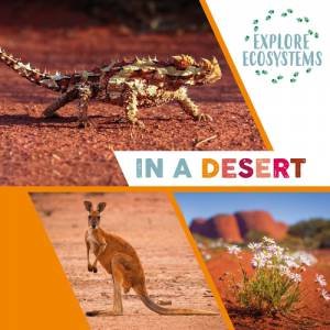 Explore Ecosystems: In A Desert by Sarah Ridley