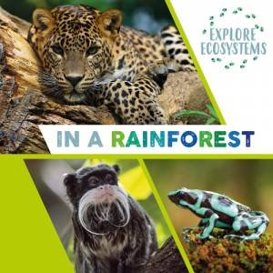 Explore Ecosystems: In A Rainforest by Sarah Ridley