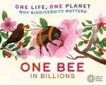 One Life One Planet One Bee in Billions