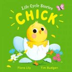 Life Cycle Stories Chick