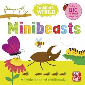 Toddler's World: Minibeasts by Pat-a-Cake & Villie Karabatzia