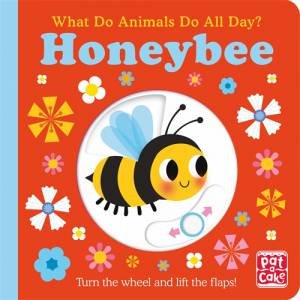 What Do Animals Do All Day?: Honeybee by Fhiona Galloway