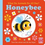 What Do Animals Do All Day Honeybee