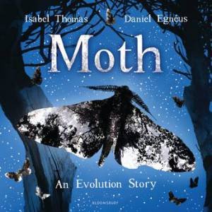 Moth by Isabel Thomas