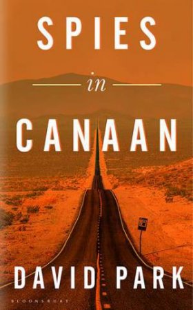 Spies In Canaan by David Park