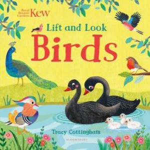 Kew: Lift And Look Birds by Tracy Cottingham