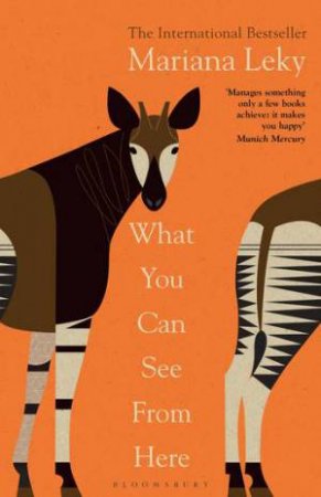 What You Can See From Here by Mariana Leky