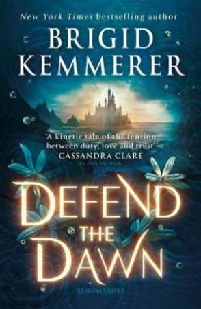 Defend The Dawn by Brigid Kemmerer