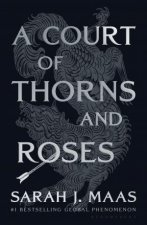 A Court of Thorns and Roses Night Court Edition