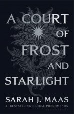 A Court Of Frost And Starlight Night Court Edition