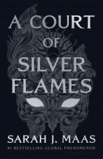 A Court of Silver Flames Night Court Edition