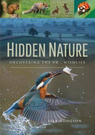 Hidden Nature: Uncovering The UK's Wildlife by Isla Hodgson