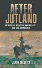 After Jutland The Naval War In North European Waters June 1916November 1918