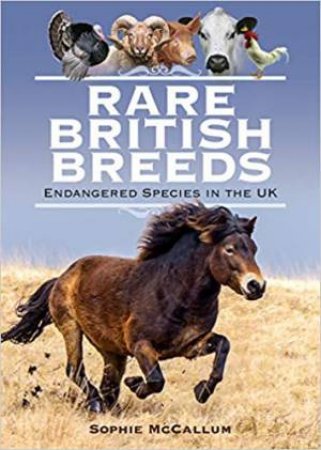 Rare British Breeds: Endangered Species In The UK by Sophie McCallum