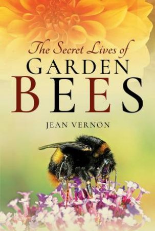 Secret Lives Of Garden Bees by Jean Vernon