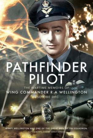 Pathfinder Pilot by Sandra Wellington