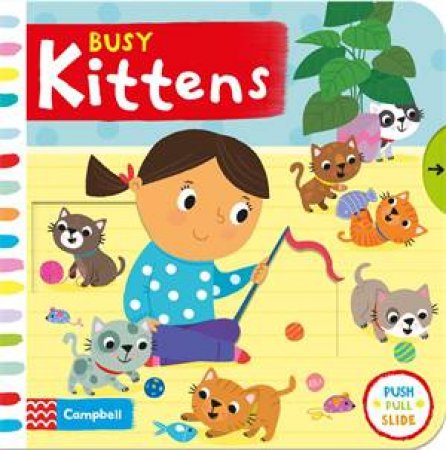 Busy Kittens by Various