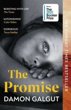 The Promise by Damon Galgut