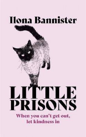 Little Prisons by Ilona Bannister