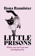 Little Prisons