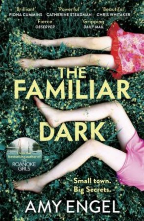 The Familiar Dark by Amy Engel