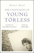 The Confusions Of Young Torless