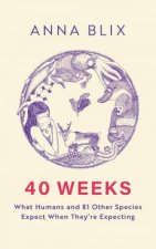 40 Weeks