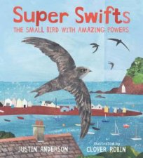 Super Swifts The Small Bird With Amazing Powers