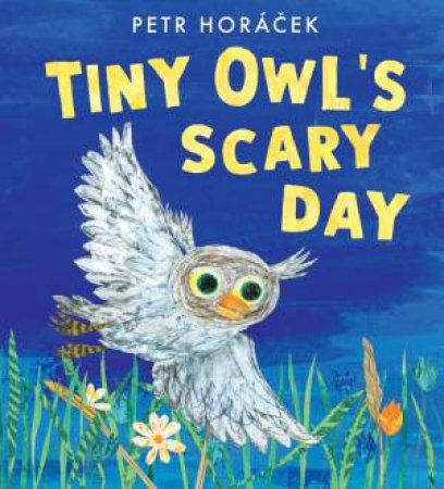 Tiny Owl's Scary Day by Petr Horcek & Petr Horcek