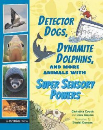 Detector Dogs, Dynamite Dolphins, And More Animals With Super Sensory Powers by Cara Giaimo & Christina Couch & Daniel Duncan