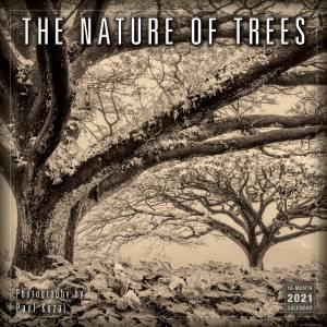 The Nature Of Trees  Wall Calendar 2021 by Paul Kozal