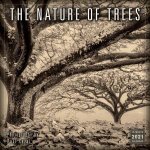 The Nature Of Trees  Wall Calendar 2021