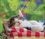 Cat Naps  Boxed Daily Calendar 2021