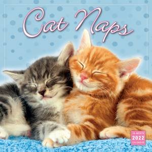 Cat Naps Wall Calendar 2022 by Various