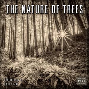 The Nature Of Trees  Photography By Paul Kozal Wall Calendar 2022 by Paul Kozal